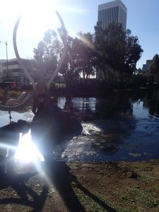 OLYMPUS DIGITAL CAMERA